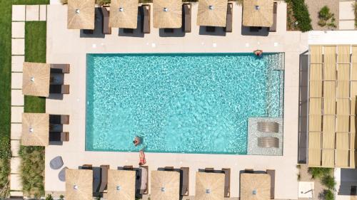 Kalyves Polygyrou Hotel | Olivessa Resort - Adults only age16 plus