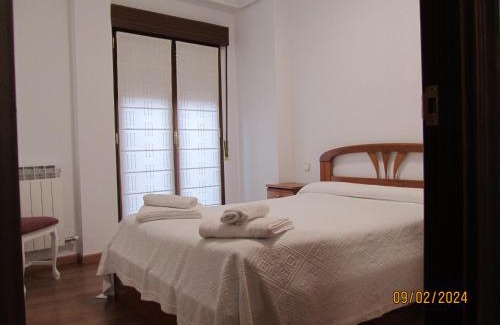 Leza House | OLIVO 75