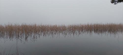 Aatola House | Ollinmäki Vineyard