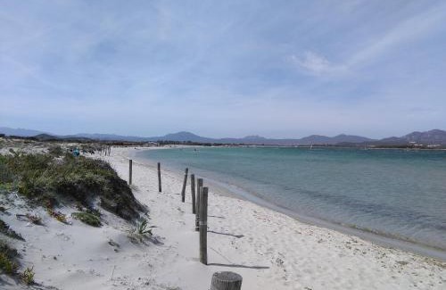 Murta Maria House | Oltre le Dune