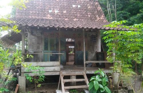 Bangunjiwo House | Omah Guyub Desa