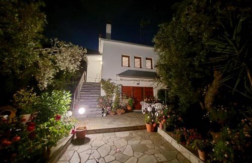 Mikro House | Omikron