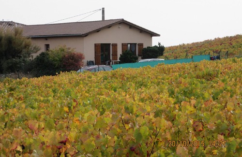 Odenas Cottage | On a viticultural estate