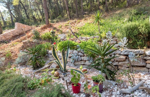 Zastrazisce Apartment | One bedroom apartment near beach Cove Vela Stiniva, Hvar (A-6864-c)