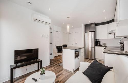 Saint Henri Apartment | One bedroom apartment near downtown 302