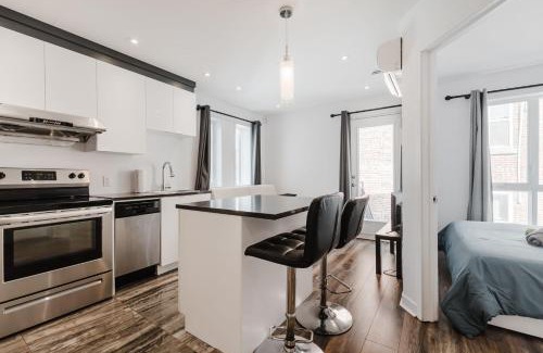 Saint Henri Apartment | One bedroom apartment near downtown 302