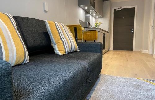 Luton Apartment | One-bedroom manitri apartment