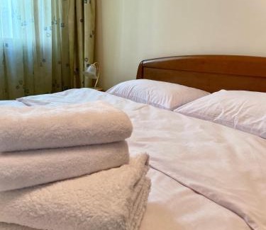 Khreshchatyy Yar Apartment | One Bedroom on European sqr