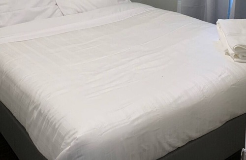 North York House | one bedroom small on Yonge subwayline