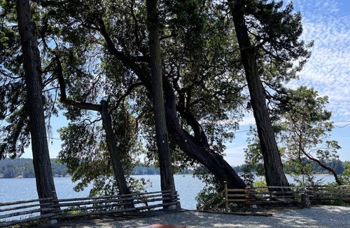 Sooke Cottage | One Bedroom Waterfront Cottage with Beach Access - Sleeps 4