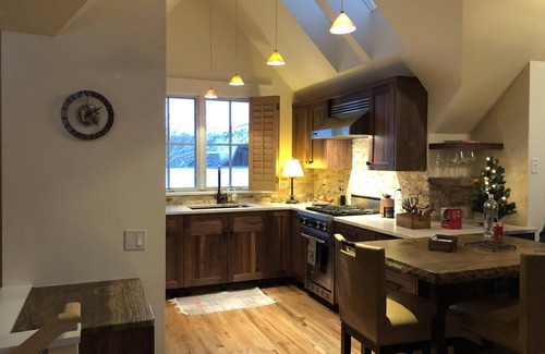 Telluride Condo | One Block to Gondola & Town! Amazing views ! Brand new Remodel !