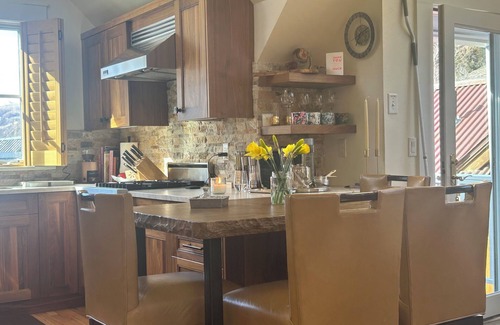 Telluride Condo | One Block to Gondola & Town! Amazing views ! Brand new Remodel !