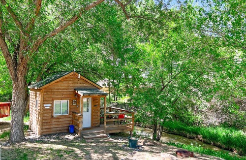 Montrose Cabin | One room camping cabin Double bed on the main level and two lofted twin-size beds Heating and cooling Sleeps: 4 Pets: 2 Parking: 1
