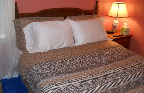 Detroit House | ONLY 6 MILES SOUTH OF DOWNTOWN DETROIT! 3 BEAUTIFUL BEDROOMS IN A BUNGALOW!