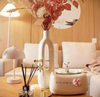 Van Giang Apartment | Onsen Landmark Ecopark
