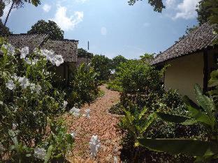 Chaweng City Center Hotel | OP Bungalow