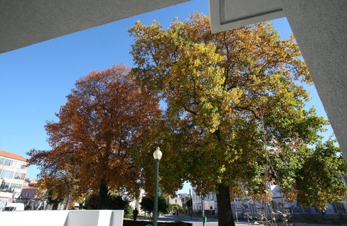 Boavista Apartment | OPO-APT 110-0 Pateo Apartment in city center. Private garden just for you.
