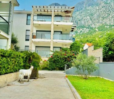 Orahovac Apartment | Orahovac sunny port