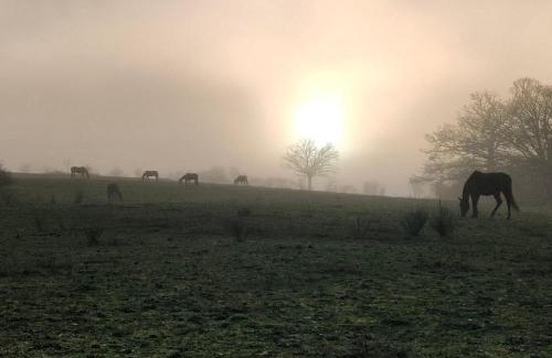 Saint-Bonnet-de-Four House | Orange - FR-1-489-561