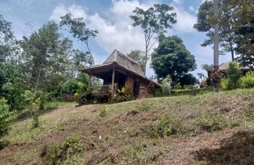 Bukit Lawang Cabin | Orangutan Bungalow