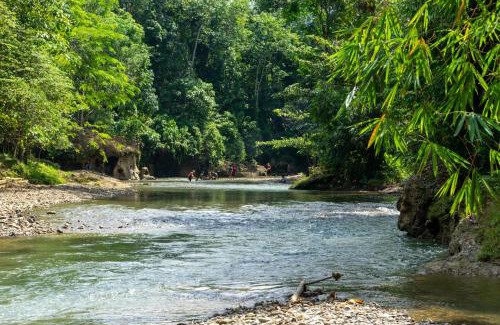 Bohorok Cabin | Orangutan Lodge and Jungle Trekking Activity