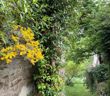 Orbregno House | Orbregno Country Houses with Personal Wine Cellar