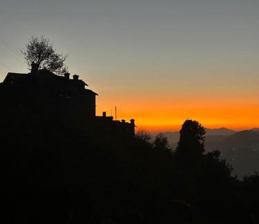 Mukteshwar Cabin | Orchard Oasis Homestay
