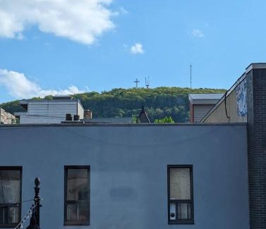 Plateau Mont Royal Apartment | Orchid Lodgement