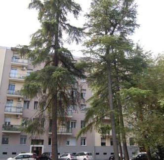 San Donato-San Vitale Bed & Breakfast | Orchidea