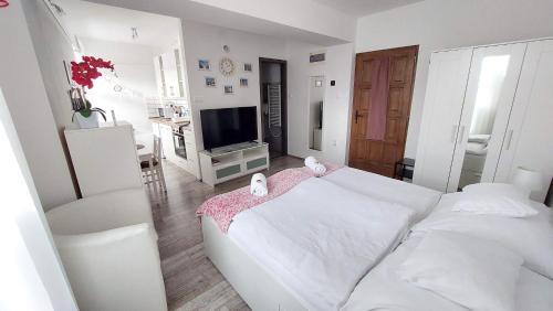 Veszprem Apartment | Orchidea Veszprém Apartman