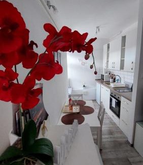 Veszprem Apartment | Orchidea Veszprém Apartman