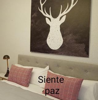 Biescas Apartment | Origen Pelaire excelente limpieza y ubicacion