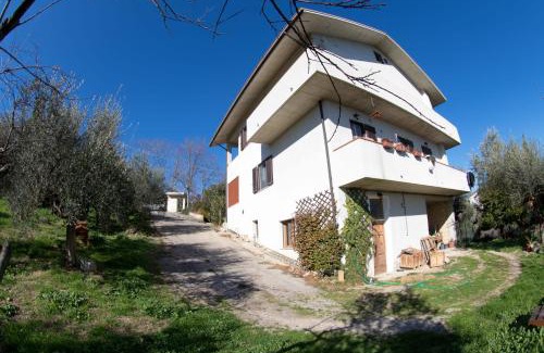 Pianella House | Orion House