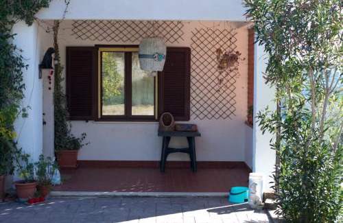 Pianella House | Orion House