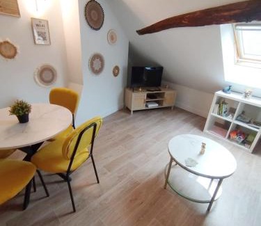 Bourgogne Apartment | Orléans centre T2 théâtre et cathédrale