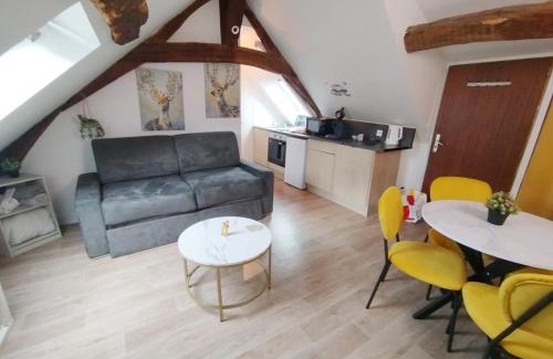 Bourgogne Apartment | Orléans centre T2 théâtre et cathédrale
