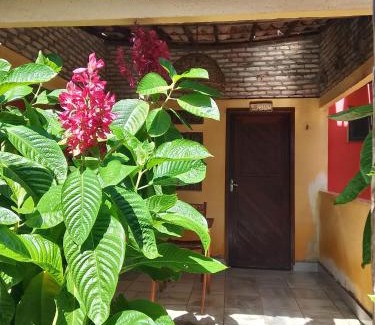Touros Other | ORLANDO CITY PARK área de camping