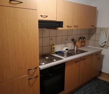 Babina Greda Apartment | Orljak