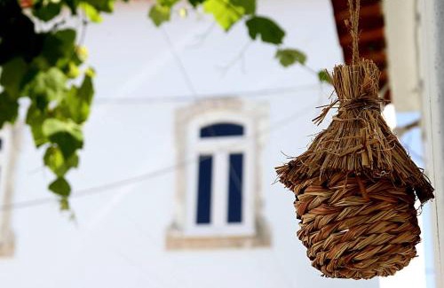Sao Martinho do Bispo House | Oryza Guest House& Suites