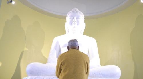 Lumbini Cabin | OSHO Jetban Spiritual Village, Lumbini