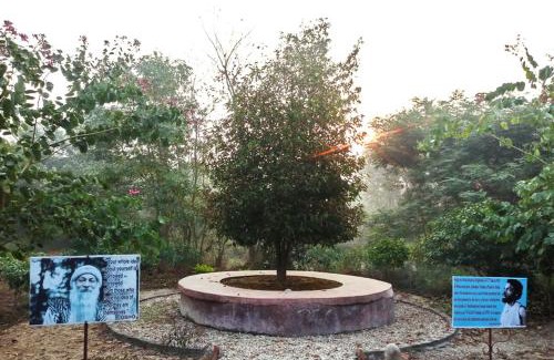 Lumbini Cabin | OSHO Jetban Spiritual Village, Lumbini