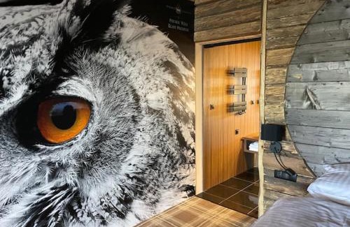 Olchowiec Bed & Breakfast | Ostoja Spokoju