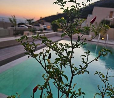 Palase House | Ostriche & Champagne Room Green Coast Palase