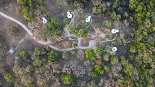 New Braunfels House | OT 3515H Texas Yurt Haus Horned Frog