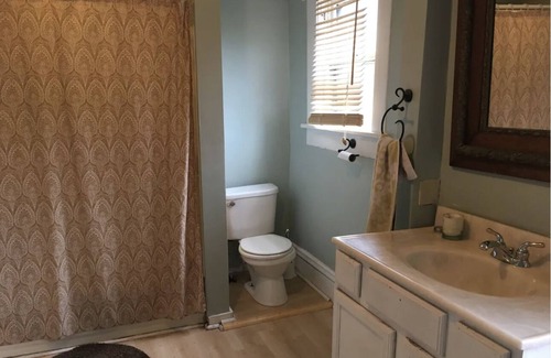 Olde Towne East House | OTE/ Downtown- 3 King beds+ private yard- Fits 3-8