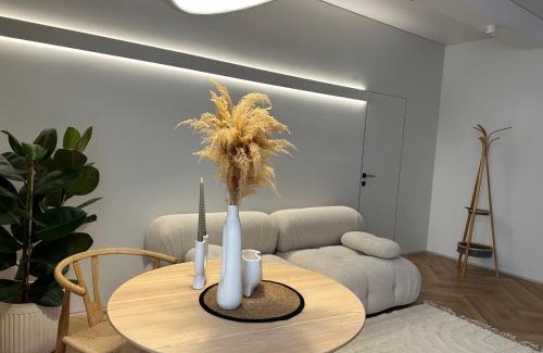 Kosuv Stary Apartment | Other Apartments