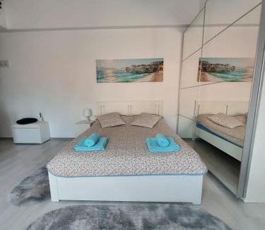 Otopeni Apartment | Otopeni Studio Airport Therme C1A4