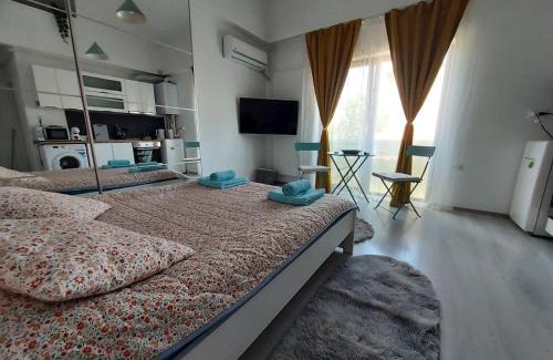 Otopeni Apartment | Otopeni Studio Airport Therme C1A4