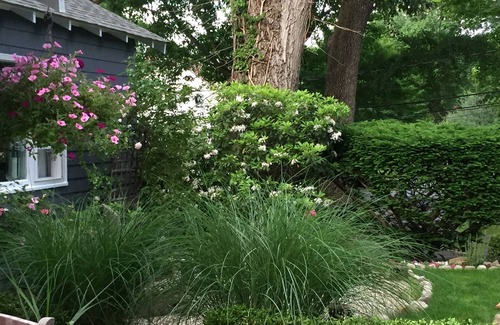 Westport House | Otter Haven; an enchanting summer home in a perfect location