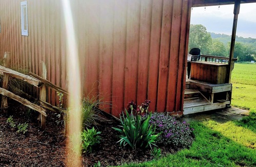 Zorra Cabin | Our charming cabin offers a serene, outdoor experience. nIts glamping with perks